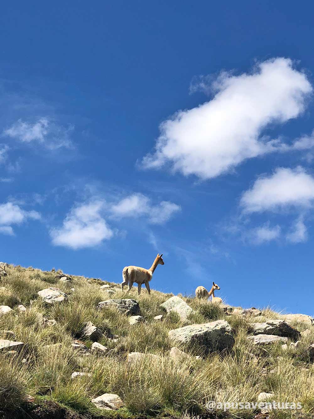 trekking-salta-s-13