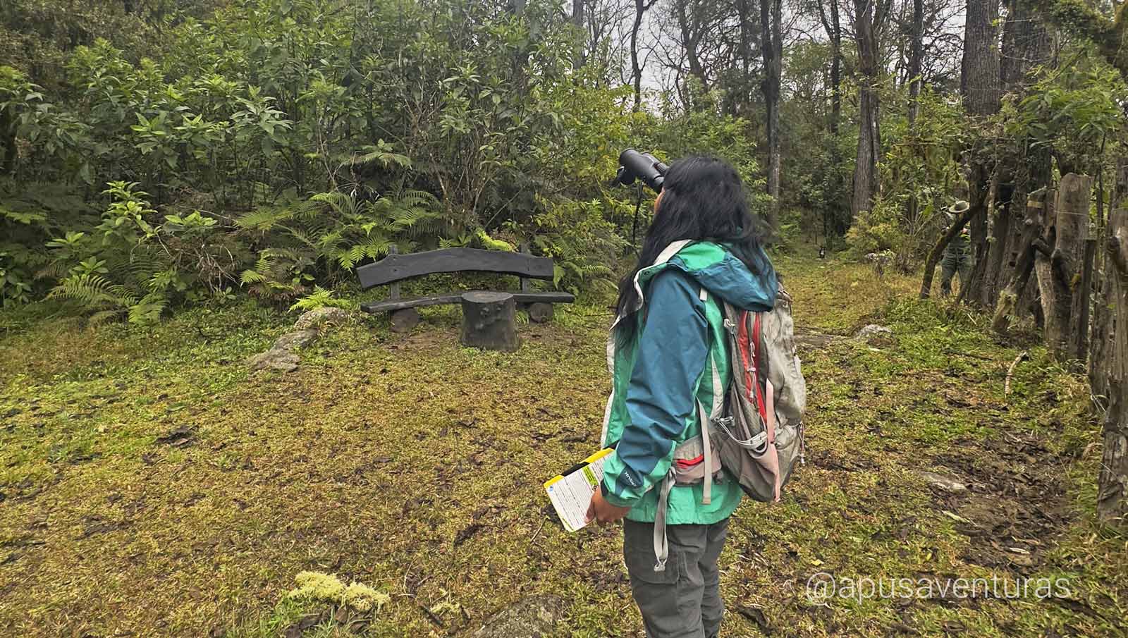 reserva el nogalar, los toldos